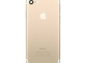 Задняя крышка ( корпус ) iPhone 7 (4.7) Gold