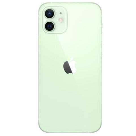 Задняя крышка (стекло) iPhone 12 (с увеличенным вырезом) (Зеленый) (Premium)